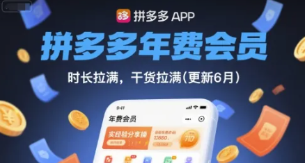 拼多多年费会员,实经验分享操,时长拉满,干货拉满(更新26年3月)